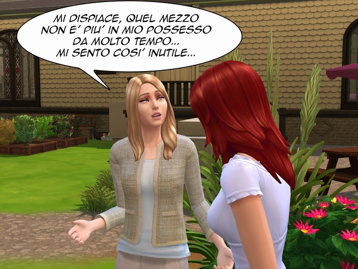 Vignetta della storia
