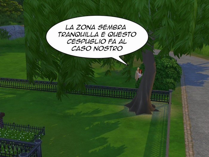 Vignetta della storia