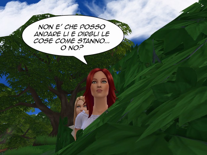 Vignetta della storia