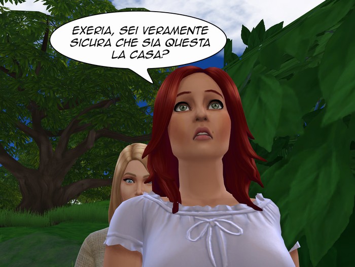 Vignetta della storia