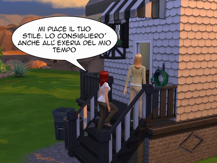 Vignetta della storia
