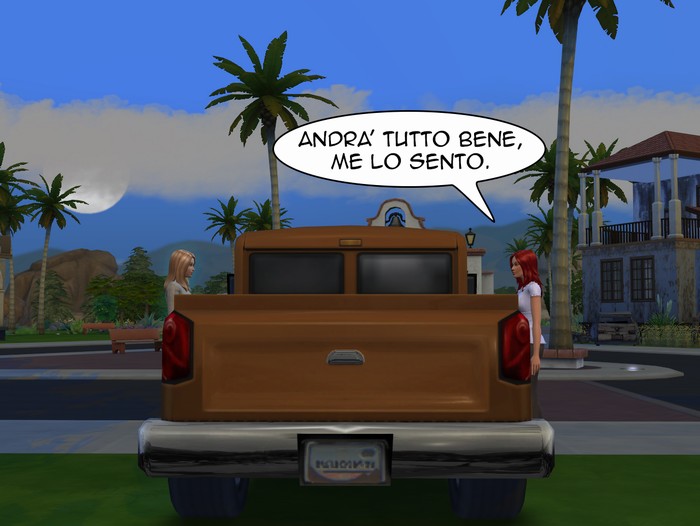 Vignetta della storia