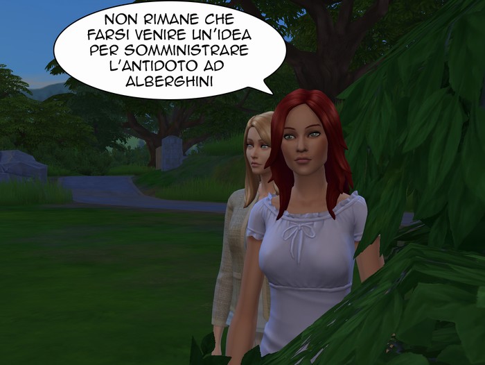 Vignetta della storia
