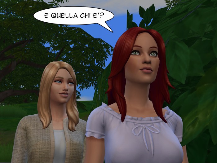 Vignetta della storia