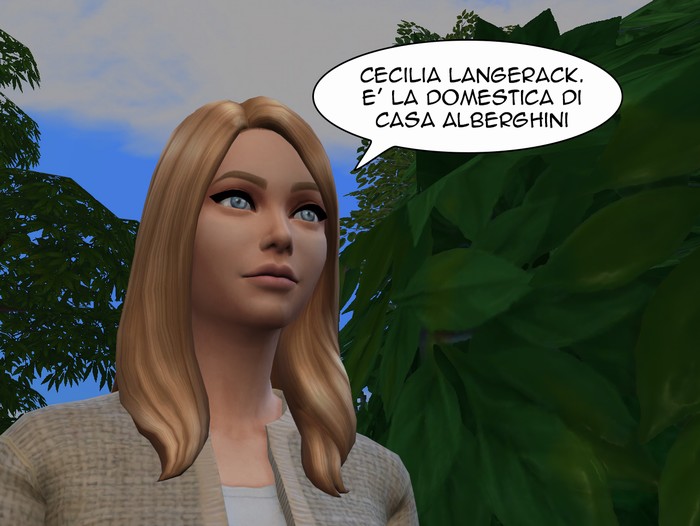 Vignetta della storia