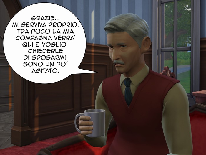 Vignetta della storia