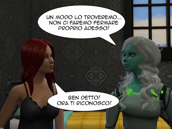 Vignetta della storia