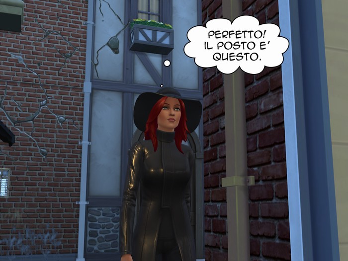 Vignetta della storia