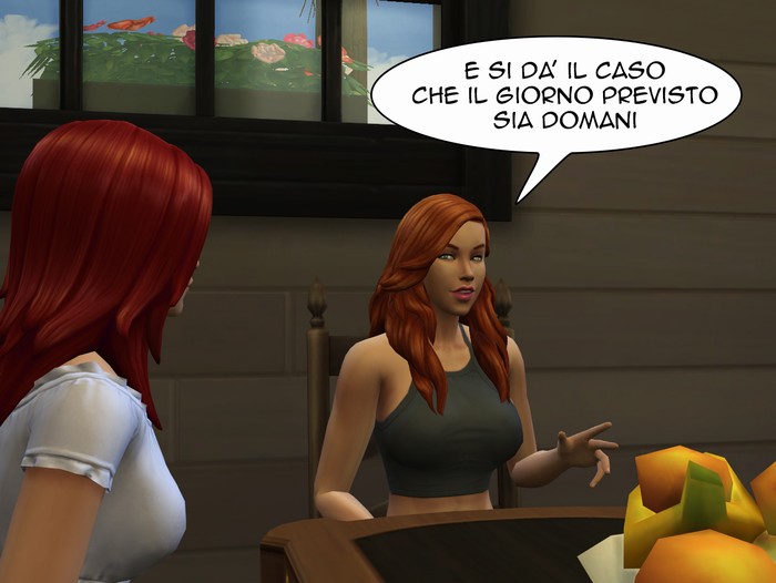 Vignetta della storia