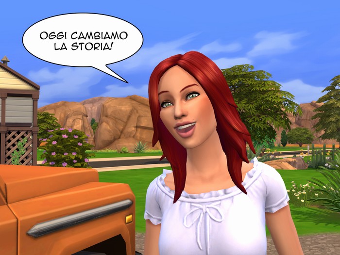 Vignetta della storia
