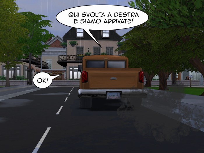 Vignetta della storia