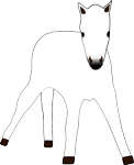 Il cavallino bianco