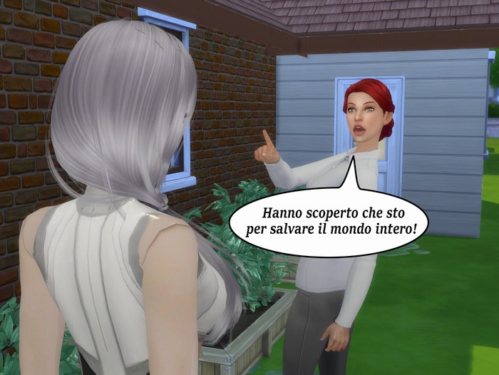 Vignetta della storia