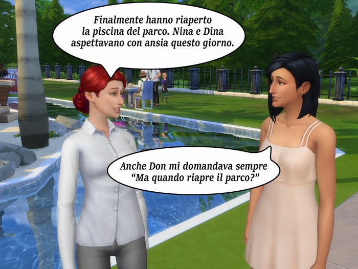 Vignetta della storia