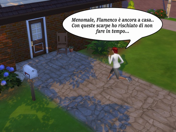 Vignetta della storia