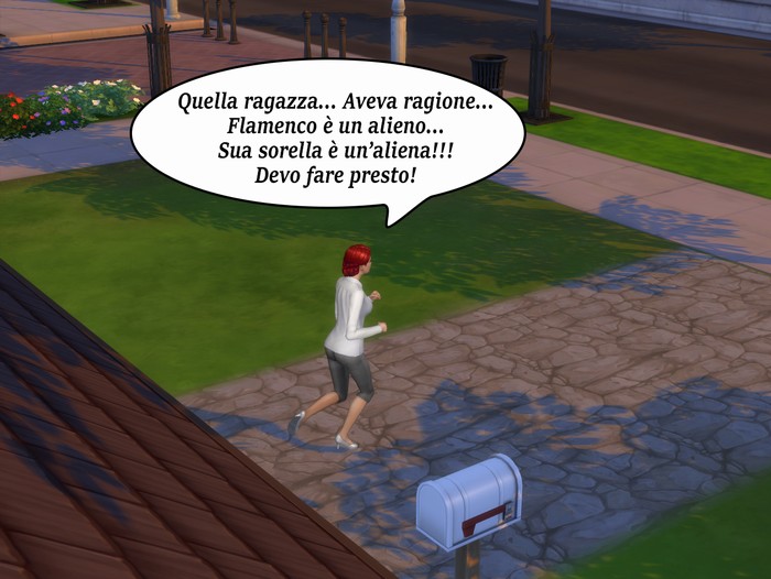 Vignetta della storia