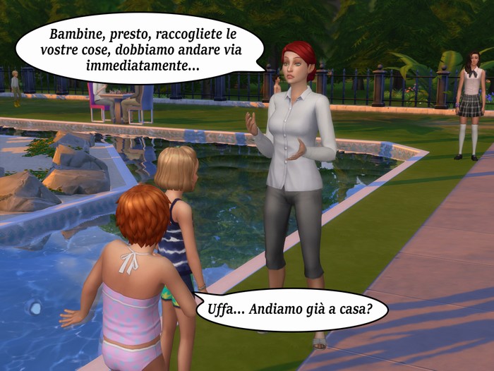 Vignetta della storia
