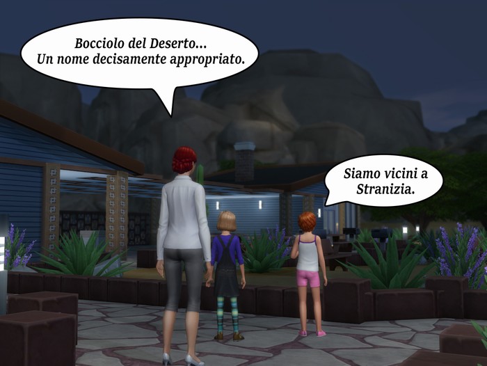 Vignetta della storia
