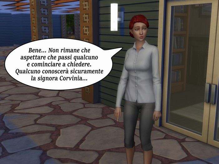 Vignetta della storia