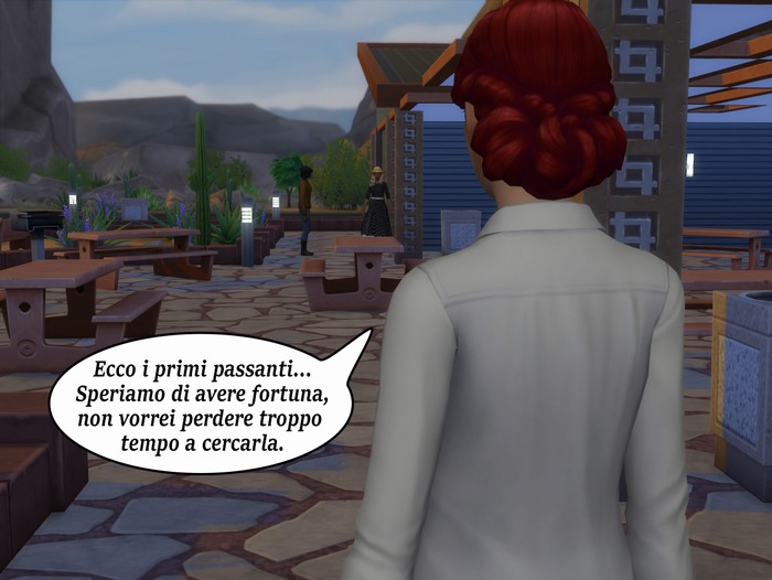 Vignetta della storia