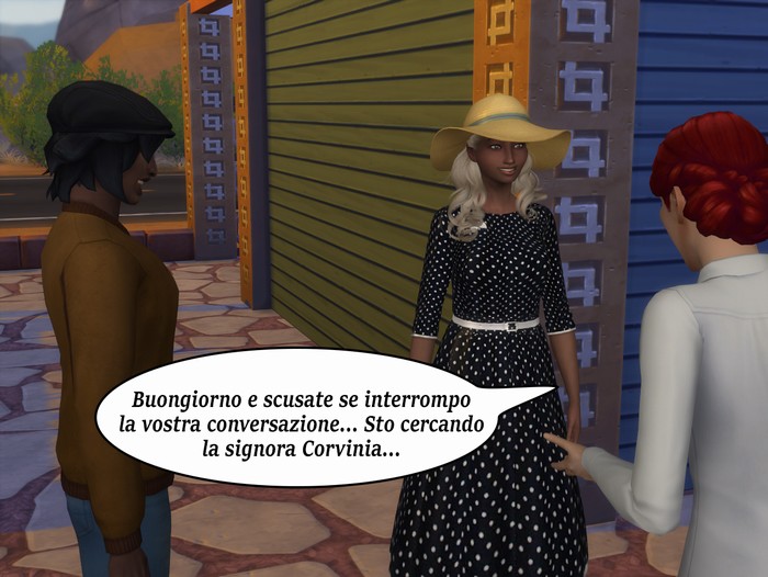 Vignetta della storia