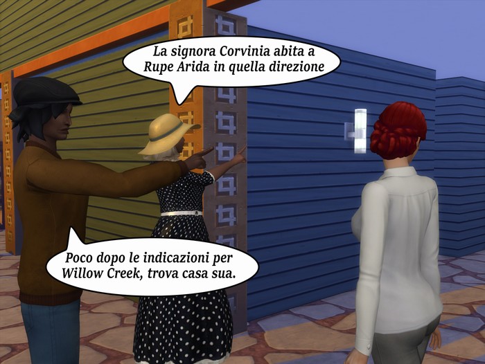 Vignetta della storia