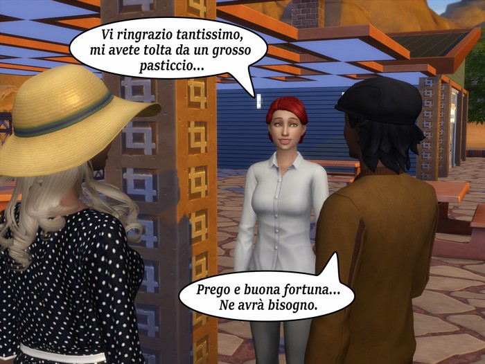 Vignetta della storia