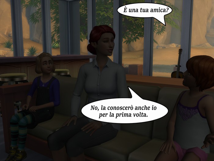 Vignetta della storia