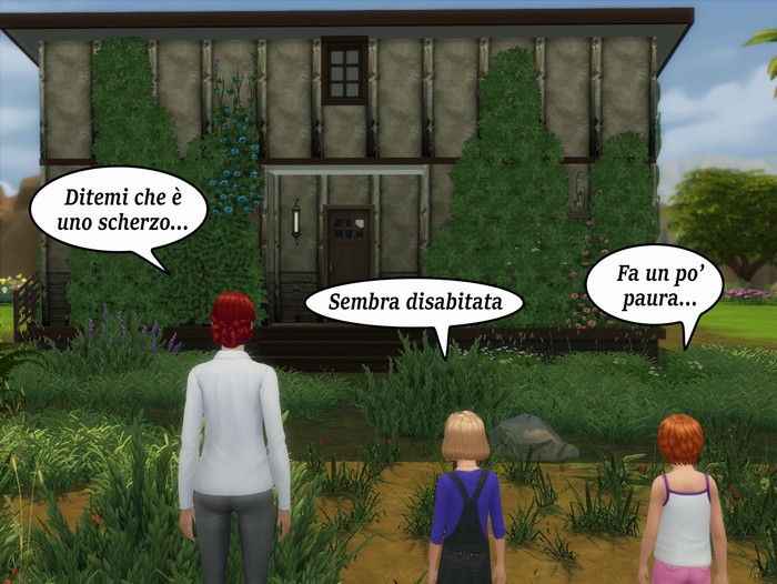 Vignetta della storia