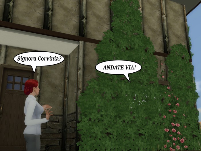 Vignetta della storia