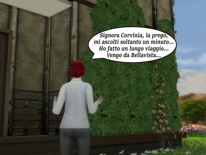 Vignetta della storia