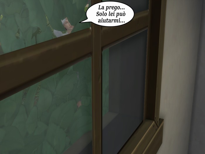 Vignetta della storia