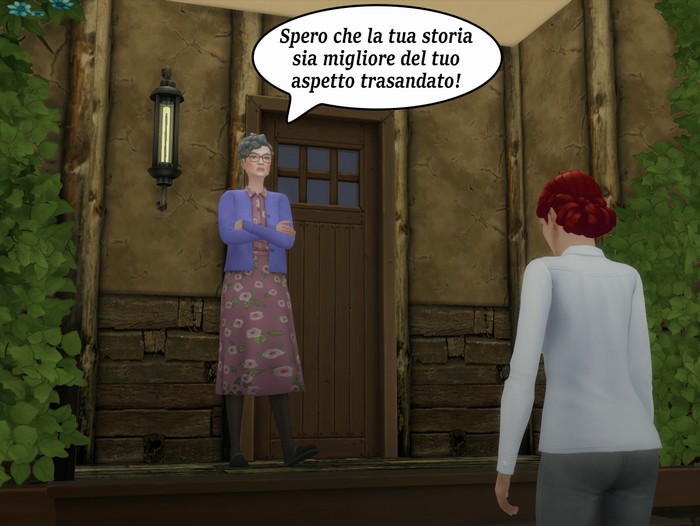 Vignetta della storia