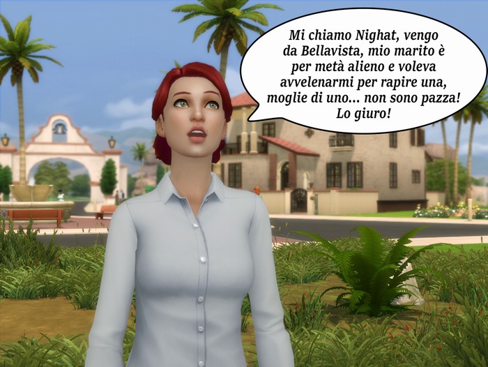 Vignetta della storia