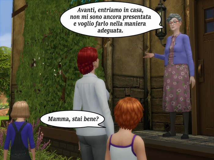 Vignetta della storia