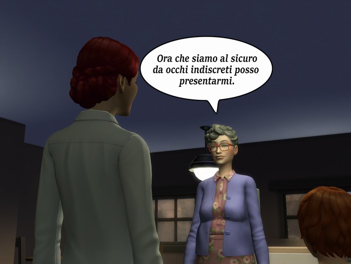 Vignetta della storia