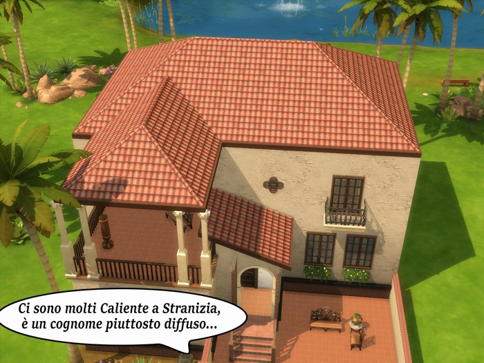 Vignetta della storia