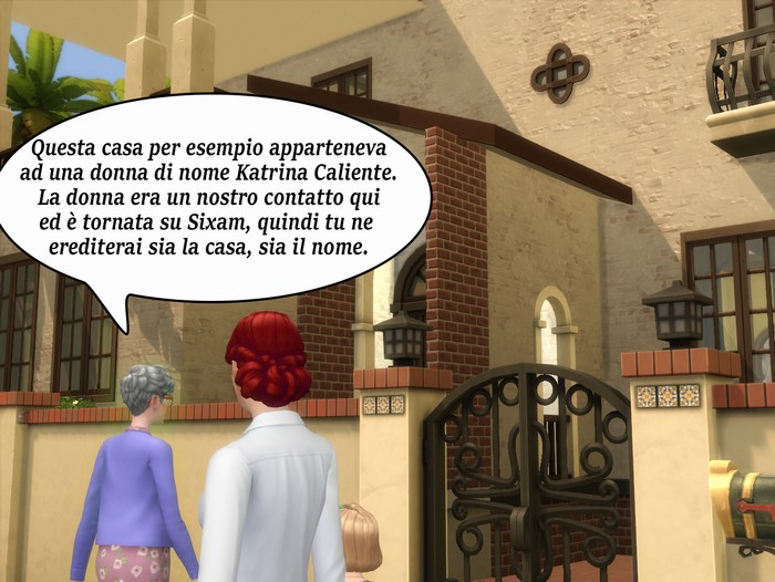 Vignetta della storia