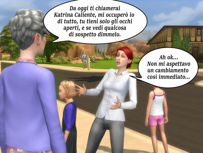 Vignetta della storia