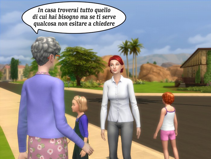 Vignetta della storia