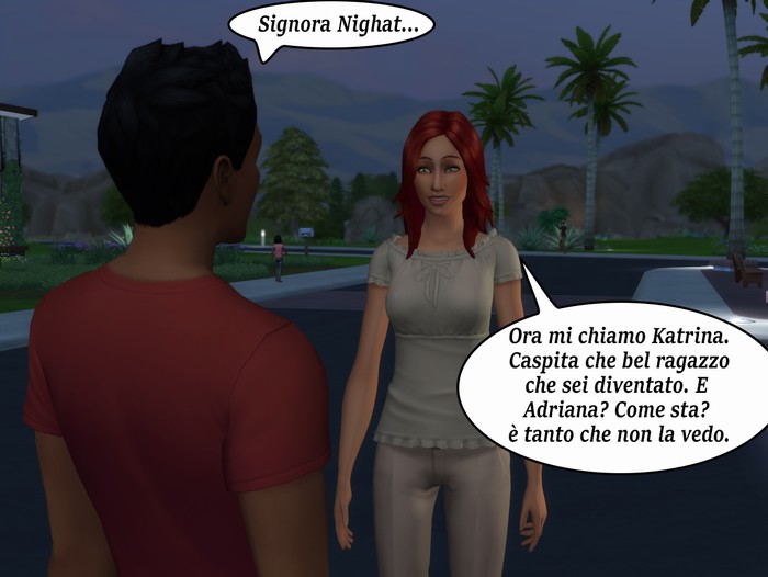 Vignetta della storia