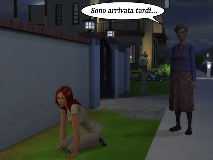 Vignetta della storia