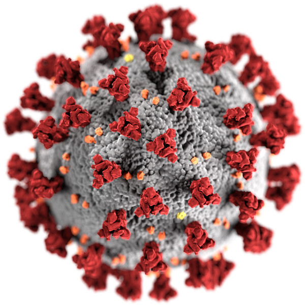 Ricostruzione di un Coronavirus